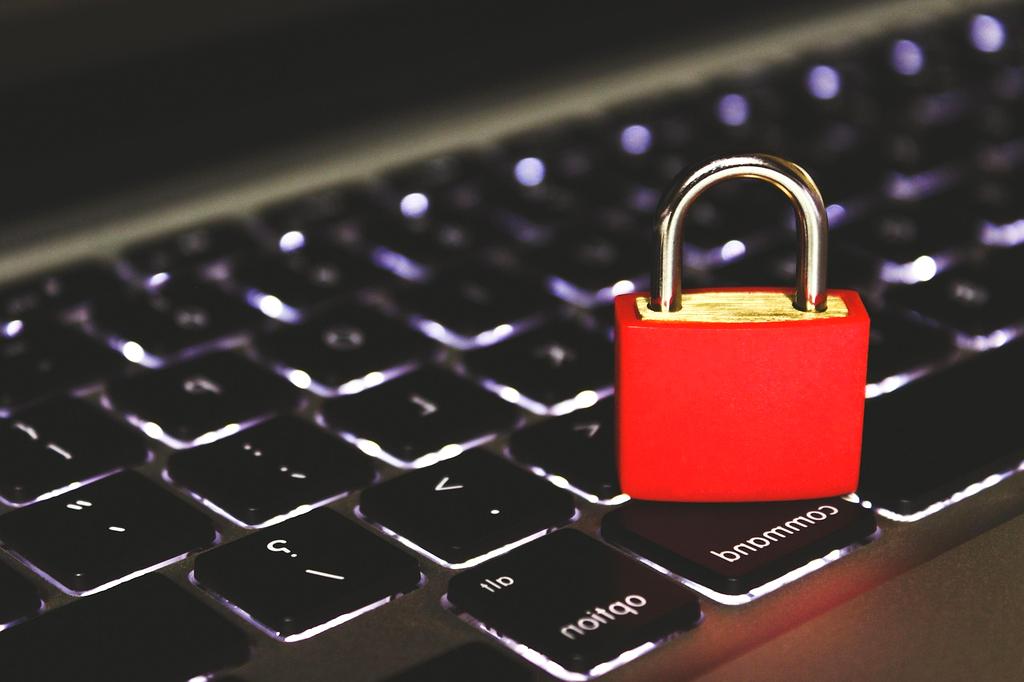 Digital security and privacy icon